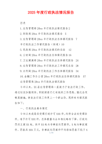 2026年度行政执法情况报告