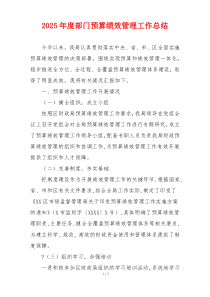 2026年度部门预算绩效管理工作总结