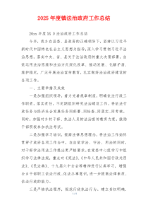 2026年度镇法治政府工作总结