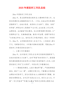 2026年度驻村工作队总结