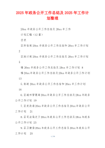 2026年政务公开工作总结及2026年工作计划整理