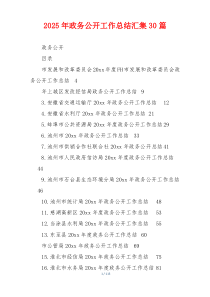 2026年政务公开工作总结汇集30篇