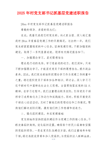 2026年村党支部书记抓基层党建述职报告