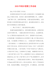 2026年某乡团委工作总结