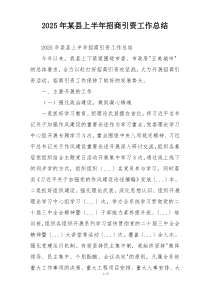 2026年某县上半年招商引资工作总结