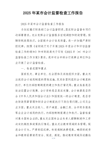 2026年某市会计监督检查工作报告