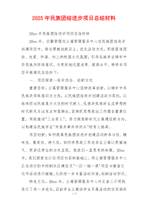 2026年民族团结进步项目总结材料