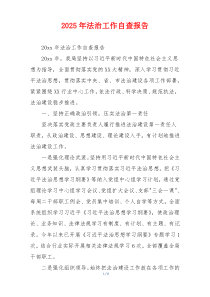 2026年法治工作自查报告