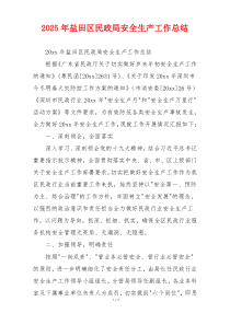 2026年盐田区民政局安全生产工作总结