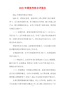 2026年绩效考核自评报告