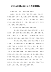 2026年街道乡镇法治政府建设报告