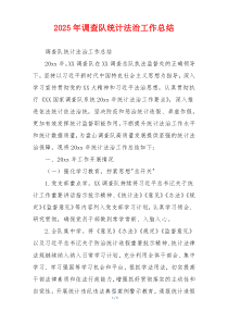 2026年调查队统计法治工作总结