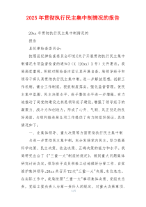 2026年贯彻执行民主集中制情况的报告