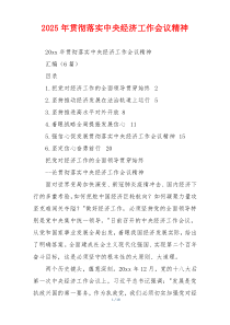 2026年贯彻落实中央经济工作会议精神