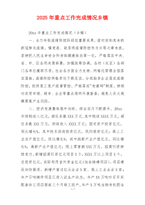 2026年重点工作完成情况乡镇