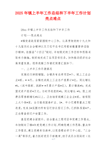 2026年镇上半年工作总结和下半年工作计划亮点难点