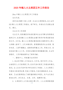 2026年镇人大主席团五年工作报告