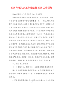 2026年镇人大工作总结及2026工作谋划