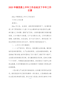 2026年镇党委上半年工作总结及下半年工作打算