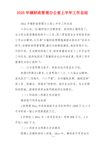 2026年镇财政管理办公室上半年工作总结