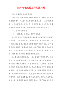 2026年镇迎检工作汇报材料