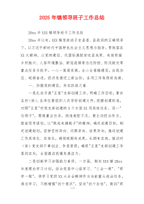 2026年镇领导班子工作总结