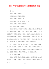 2026年防汛减灾工作开展情况报告5篇