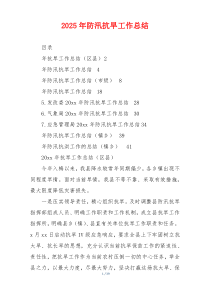 2026年防汛抗旱工作总结