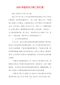 2026年驻村尖刀班工作汇报