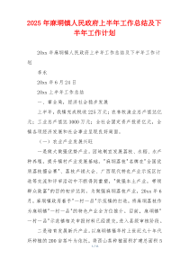 2026年麻垌镇人民政府上半年工作总结及下半年工作计划