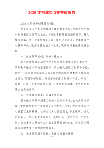 2026文明城市创建整改报告