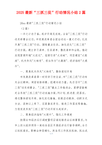 2026最新“三抓三促”行动情况小结2篇