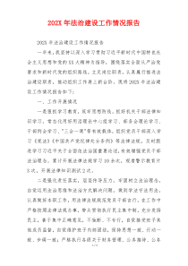 202X年法治建设工作情况报告