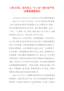 4死36伤，东兴化工“4·24”较大生产安全事故调查报告