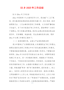 XX乡2026年工作总结