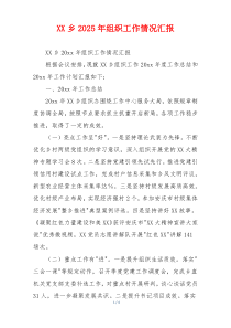 XX乡2026年组织工作情况汇报