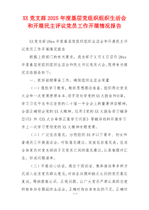XX党支部2026年度基层党组织组织生活会和开展民主评议党员工作开展情况报告