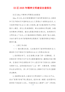 XX区2026年精神文明建设自查报告