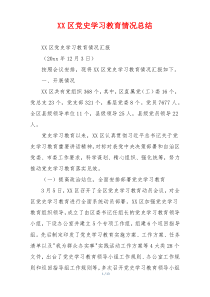 XX区党史学习教育情况总结