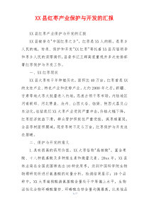 XX县红枣产业保护与开发的汇报