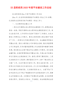 XX县财政局2026年度平安建设工作总结