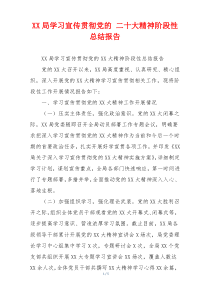 XX局学习宣传贯彻党的 二十大精神阶段性总结报告