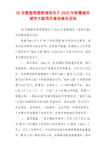 XX市数据资源管理局关于2026年智慧城市城市大脑项目建设情况总结