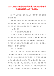 XX市文化市场综合行政执法大队参照管理单位规范设置专项工作报告