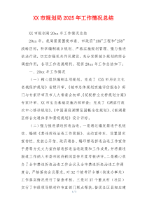 XX市规划局2026年工作情况总结