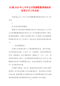 XX镇2026年上半年公共资源配置领域政府信息公开工作总结