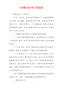 XX镇2026年工作总结