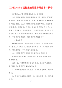 XX镇2026年度村级换届选举财务审计报告