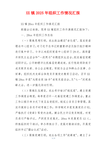 XX镇2026年组织工作情况汇报