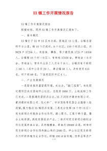 XX镇工作开展情况报告